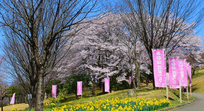 みね山 花まつり