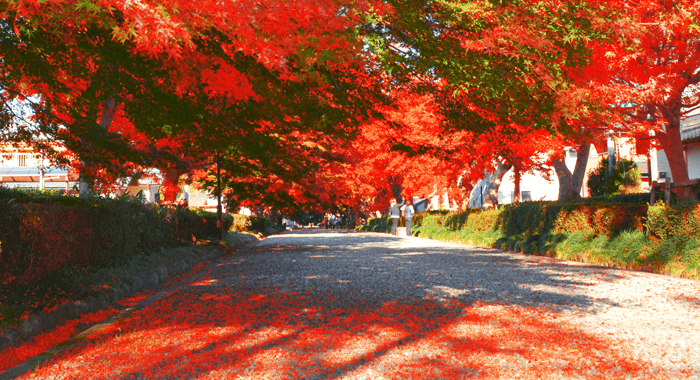 大山参道(日本遺産)