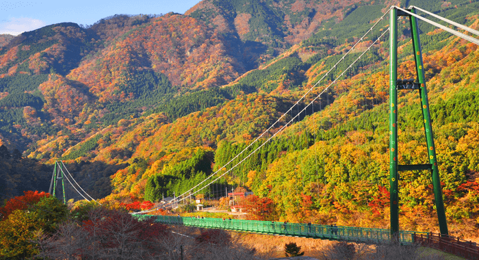 もみじ谷大吊橋