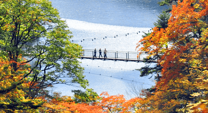 回顧（みかえり）の吊橋 回顧の滝